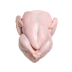 R-19